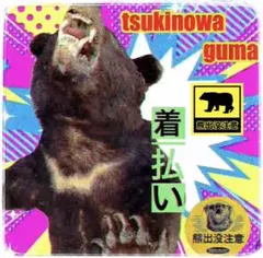 【合法捕獲】国産 ツキノワグマ 剥製 ‼️毛皮 敷物 ラグ【極美品】‼️ ツキノワグマ 熊の毛皮 ラグ 敷物 剥製 - メルカリ
