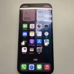 大幅値下プロマックス１テラiPhone 13 Promax 1.02TB最終赤字 プロマックス❗️1テラiPhone 13 Promax 1.02TB最終赤字処分 - メルカリ