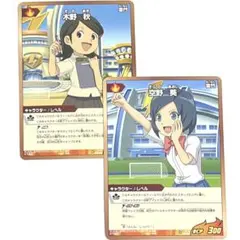 雷門夏未 木野秋 音無春奈 イナズマイレブン TCG トレーディングカード