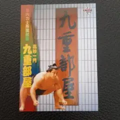 Item thumbnail for item 964c560a-8c99-4423-a6b3-382325242555