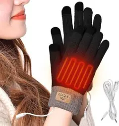 冬用速暖手袋レディース裏起毛電熱グローブUSB給電式防寒 スマホ対応男女兼用