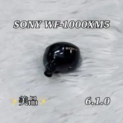 2026年最新】SONY wf-1000xm5 右耳の人気アイテム - メルカリ