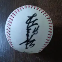 McDonald's CHUMS ステンレスマグカップ