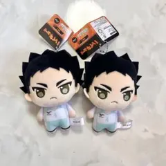 ハイキュー　ぷちっしゅ　岩泉一　2体セット
