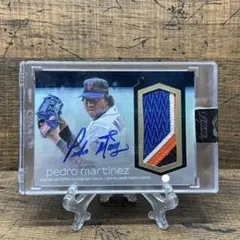 topps 2022 F1 dynasty セバスチャンベッテル直筆サインカード Amazon.co.jp: セバスチャン・ベッテル 直筆 サイン 入り 公式