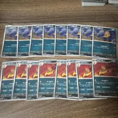 ズルッグ　ズルズキン　ジムプロモ　8枚　セット