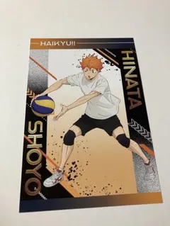 ハイキュー！！ アニメイトフェア 特典ポストカード 日向