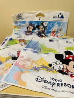 東京ディズニーリゾート ショップ袋セット