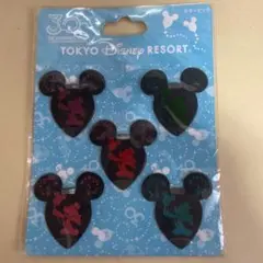 ディズニーリゾート　ピック　セット売り 2025年最新】東京ディズニーリゾート ピックの人気アイテム