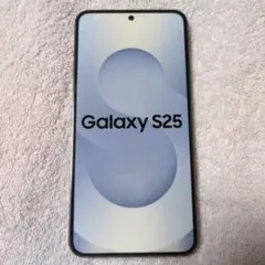 【モック品】Samsung Galaxy S25 シルバーのサムネイル