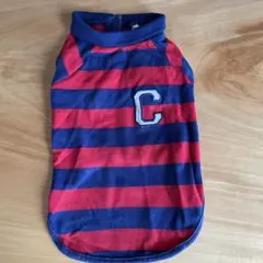 犬服 ポロシャツ 赤と青のストライプ 小型犬用