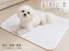 ペットマット 防水 吸水速乾 洗える 犬猫用 60×45のサムネイル