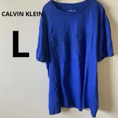CALVIN KLEIN カルバンクライン　ロゴTシャツ 【L】青　ブルー