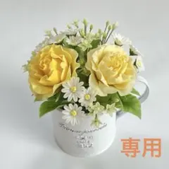 専用　ミニアレンジ