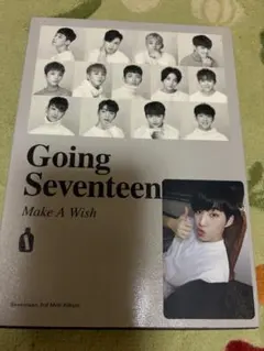 SEVENTEEN going seventeen