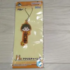 ハイキュー!! 一番くじ 〜頂の景色〜 N賞 山口忠