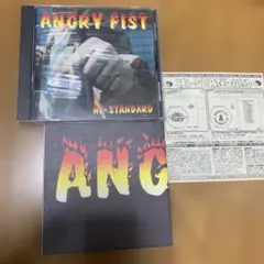 2026年最新】hi-standard angry fist lpの人気アイテム - メルカリ