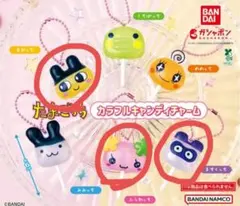 たまごっち　カラフルキャンディチャーム　まめっち　ふらわっち　ますくっち