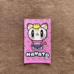 小森隼　ジェ猫 カフェ ステッカー GENE