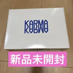 【新品未開封】straykids スキズ　karma アルバム