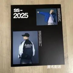 SEVENTEEN パンフレット メモリアルブック 2025年最新】seventeen パンフレットの人気アイテム - メルカリ