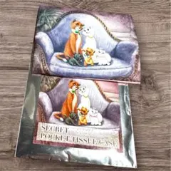 ディズニーストア シークレット ポケットティッシュケース　おしゃれキャット