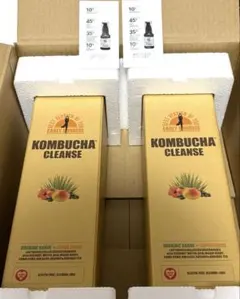 Item thumbnail for item 049a40cd-6873-40cd-9860-a4289bef1c5d