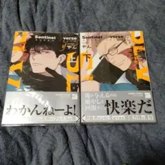 「Sentinel Loverse 上下巻」