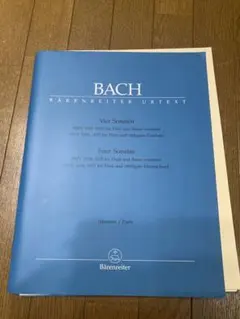 Item thumbnail for item 095c0111-2693-43ce-930a-9930f19f48e9