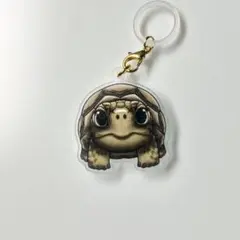 爬虫類目印チャーム　リクガメ　ケヅメリクガメ