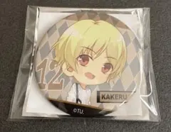 Item thumbnail for item 368499d1-d072-402c-a643-f3be8f88adc6