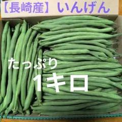 녹두 [나가사키산] (1kg)
