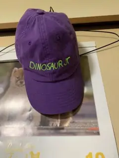 Dinosaur Jr. 紫色キャップ