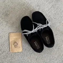 Item thumbnail for item 0f4dc60e-0dd9-43c7-a3fd-287921d21311