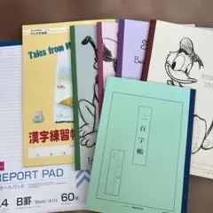 Item thumbnail for item 50385918-db81-44b1-b4de-4d0a393ea98f