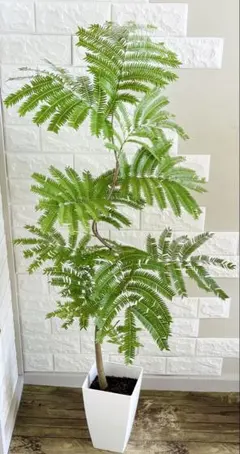 2025年最新】エバーフレッシュ曲がりの人気アイテム - メルカリ