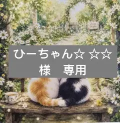 ひーちゃん☆ ☆☆様　専用