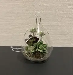 吊り下げ式 ガラス テラリウム 多肉植物 フェイクグリーン しずく型 インテリア