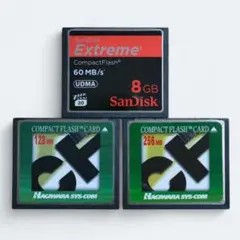 【SanDisk】Extreme 8GB コンパクトフラッシュ＋オマケ2ヶ