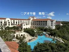 専用ページです