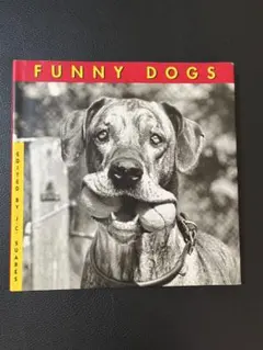 Item thumbnail for item 71e2afdc-e204-4f47-9aa5-d476d82d4993