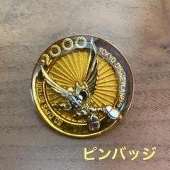 t*u様 ディズニーストアUSAカウントダウン・ミレニアム ピンバッジ コンプリ ディズニーストアUSAカウントダウン・ミレニアム ピンバッジ