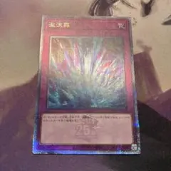 激流葬 QCSE クォーターセンチュリーシークレット QCAC-JP097
