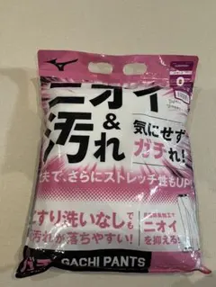 ミズノガチパンツ　ベースボールユニフォームパンツ　12JD2F6601