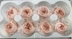 ば〜ばガクちゃん様 リクエスト 3点 まとめ商品