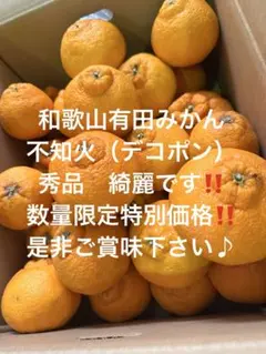 タカシ様専用ページ