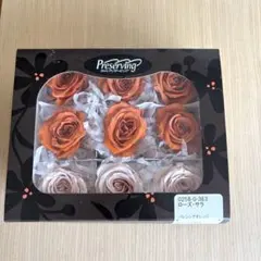 ソレイユ×多弁ソレイユ☆クリスマスローズ苗 - メルカリ