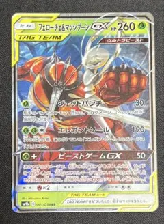 フェローチェ&マッシブーンgx