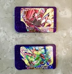 ポケモン フレンダ　グラードン　カミツオロチ