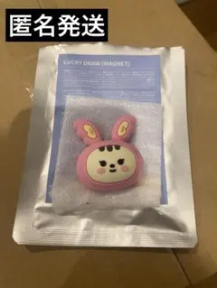 miniteen ミニティーン ジョントラム ジョンハン マグネット ラキドロ